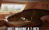 Fun Pic - Donnerstags Fun PicDump #163 - 132
