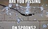 Fun Pic - Donnerstags Fun PicDump #163 - 144