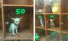 Fun Pic - Donnerstags Fun PicDump #163 - 160