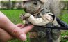 Fun Pic - Donnerstags Fun PicDump #163 - 164