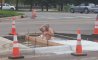 Fun Pic - Donnerstags Fun PicDump #163 - 64