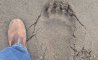 Fun Pic - Donnerstags Fun PicDump #163 - 8
