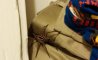 Fun Pic - Donnerstags Fun PicDump #163 - 84
