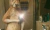 Fun Pic - Donnerstags Fun PicDump #163 - 96