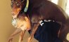 Fun Pic - Donnerstags Fun PicDump #165 - 71
