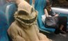 Fun Pic - Donnerstags Fun PicDump #173 - 38