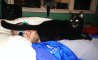Fun Pic - Donnerstags Fun PicDump #173 - 46