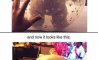 Fun Pic - Donnerstags Fun PicDump #174 - 139
