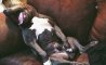 Fun Pic - Donnerstags Fun PicDump #174 - 151
