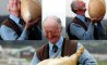 Fun Pic - Donnerstags Fun PicDump #181 - 124