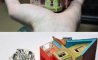 Fun Pic - Donnerstags Fun PicDump #182 - 79