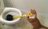 Fun Pic - Donnerstag Fun PicDump #204 - 101