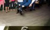 Fun Pic - Donnerstag Fun PicDump #204 - 121