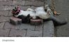 Fun Pic - Donnerstag Fun PicDump #204 - 61