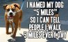 Fun Pic - Donnerstag Fun PicDump #218 - 102