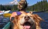 Fun Pic - Donnerstag Fun PicDump #245-856 - 23