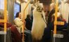 Fun Pic - Donnerstag Fun PicDump #272 - 56