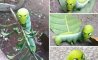 Fun Pic - Donnerstag Fun PicDump #343 - 84