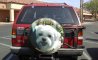 Fun Pic - Do...Freitags Fun PicDump #347 - 45