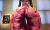 Fun Pic - Donnerstag Fun PicDump #462 - 118