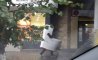 Fun Pic - Donnerstag Fun PicDump #465 - 73