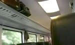 Funny Video : Blind Passenger