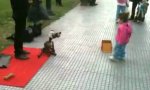 Funny Video : Hundepuppenspieler