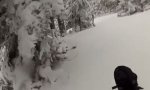 Unerwartete Begegnung beim Powder Skiing