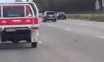 Funny Video : Taube auf der Überholspur