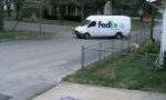 Lustiges Video : Die FedEx-Lieferung ist da!