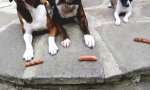 Selbstbeherrschungs-Training