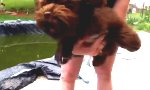 Funny Video : Drachenhund