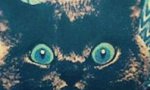 Fun Pic : Der Pussy-Blick
