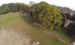 Lustiges Video - Falke vs. Drohne