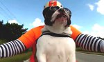 Movie : Badass Biker Dogge