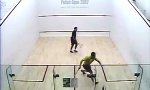 Lustiges Video : Intensiv-Squash