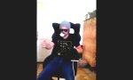 Movie : Mit Turbo durchs Wohnzimmer