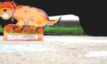 Funny Video - Bad Dog