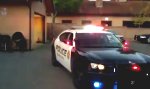 Movie : Polizeiwelpe