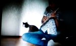 Movie : Katze mag keine Blasinstrumente