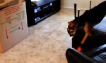Funny Video : Unbequeme Schuhe