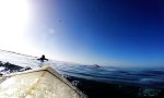 Lustiges Video : Begegnung mit einem Grauwal