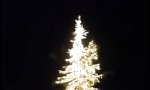 Movie : Fraktale Weihnachtsbaumbeleuchtung