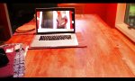 Funny Video - Ping Pong Solostunde