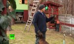 Movie : Ab über die Schulter