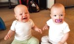 Funny Video - Nuckelstreit