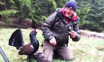 Funny Video : Auerhahn und Kameramann