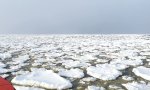 Movie : Pfannkuchen-Eismeer