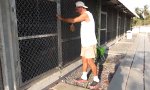 Funny Video : Fütterung der Raubtiere