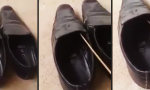 Checke deine Schuhe vor dem Anziehen